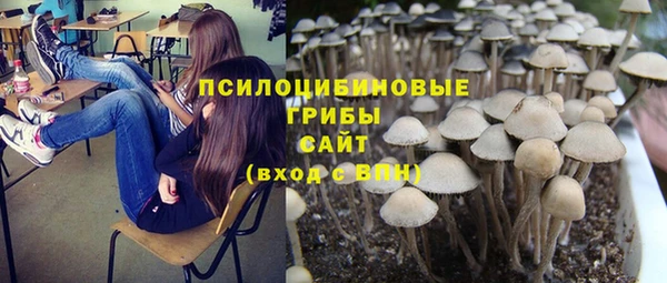 кокс Нефтекумск