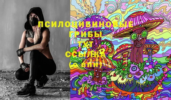 ешки Нея