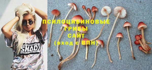 амф Навашино