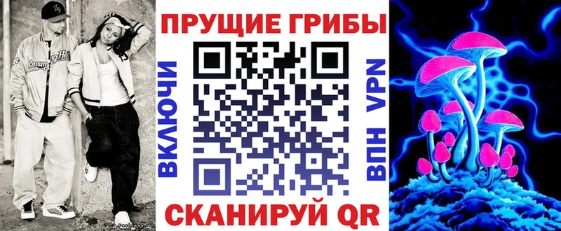 Псилоцибиновые грибы Psilocybe Магадан