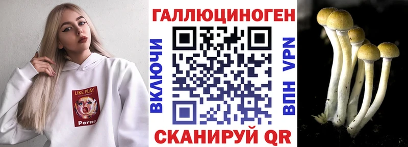 Псилоцибиновые грибы Psilocybine cubensis  Магадан 