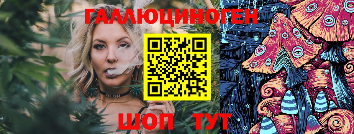 Магадан  Псилоцибиновые грибы Cubensis  Вход с VPN 