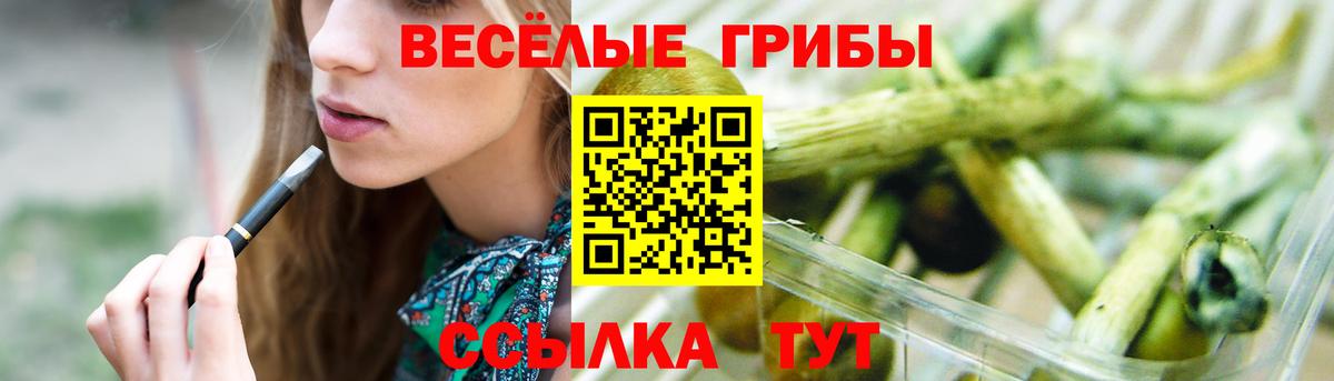 Псилоцибиновые грибы Psilocybine cubensis Магадан